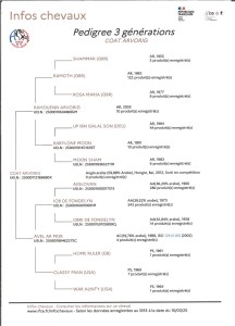 Voir la fiche détaillée
