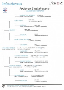 Voir la fiche détaillée
