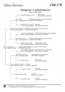 Voir la fiche détaillée